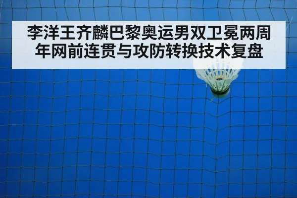 badminton net play